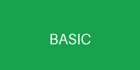 Basic Partner logo
