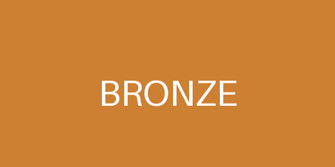 Bronze Partner logo