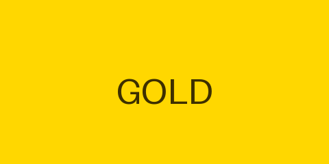 Gold Partner