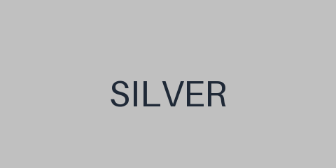 Silver Partner logo
